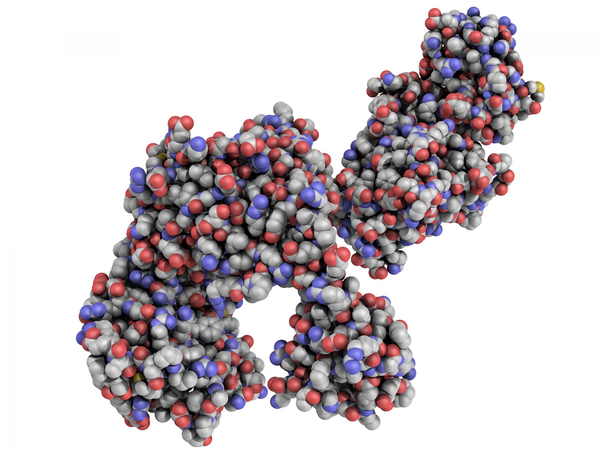 Taq polymerase PCR enzyme